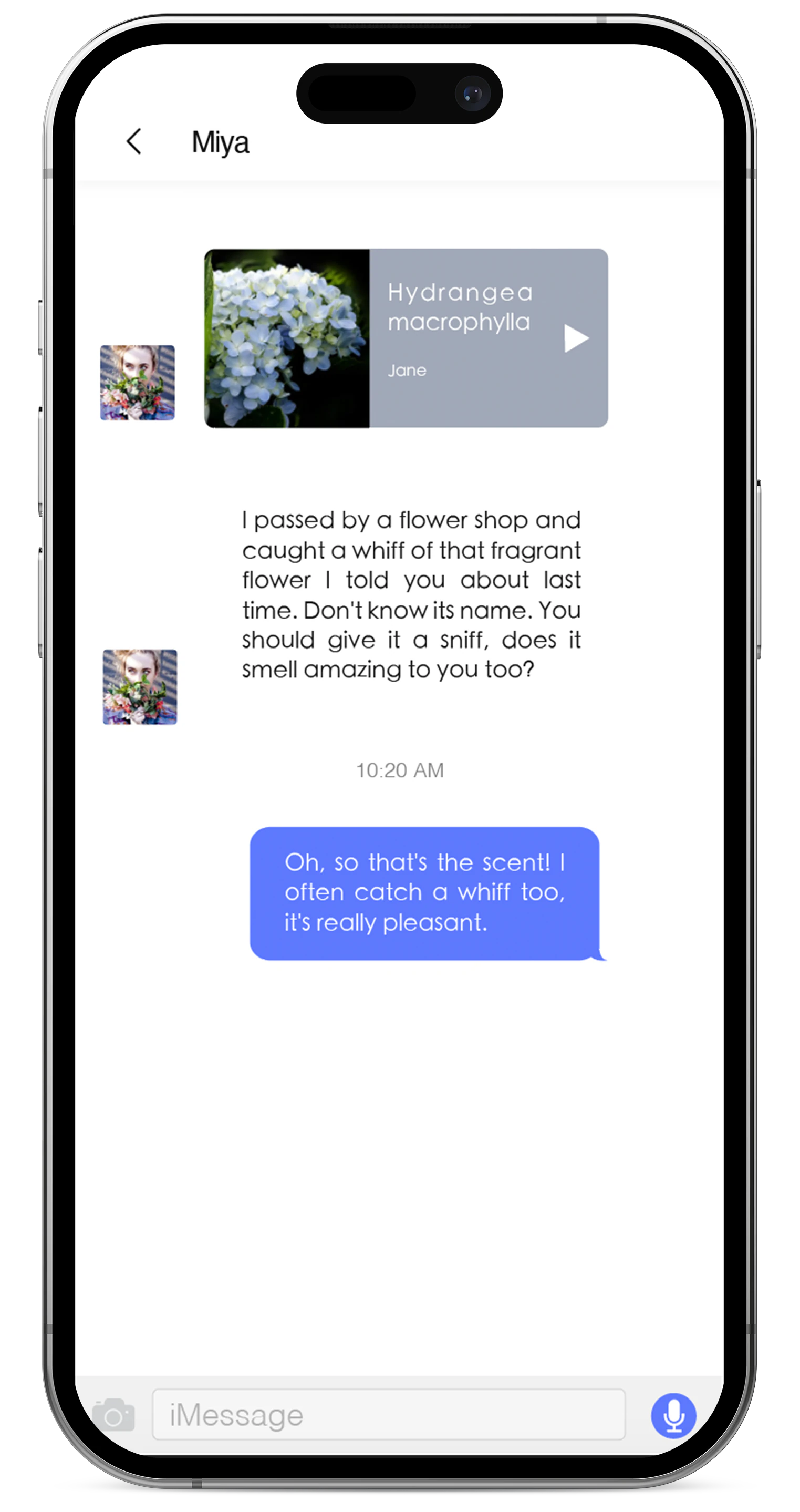 Message screen with a scent card shared in a private chat