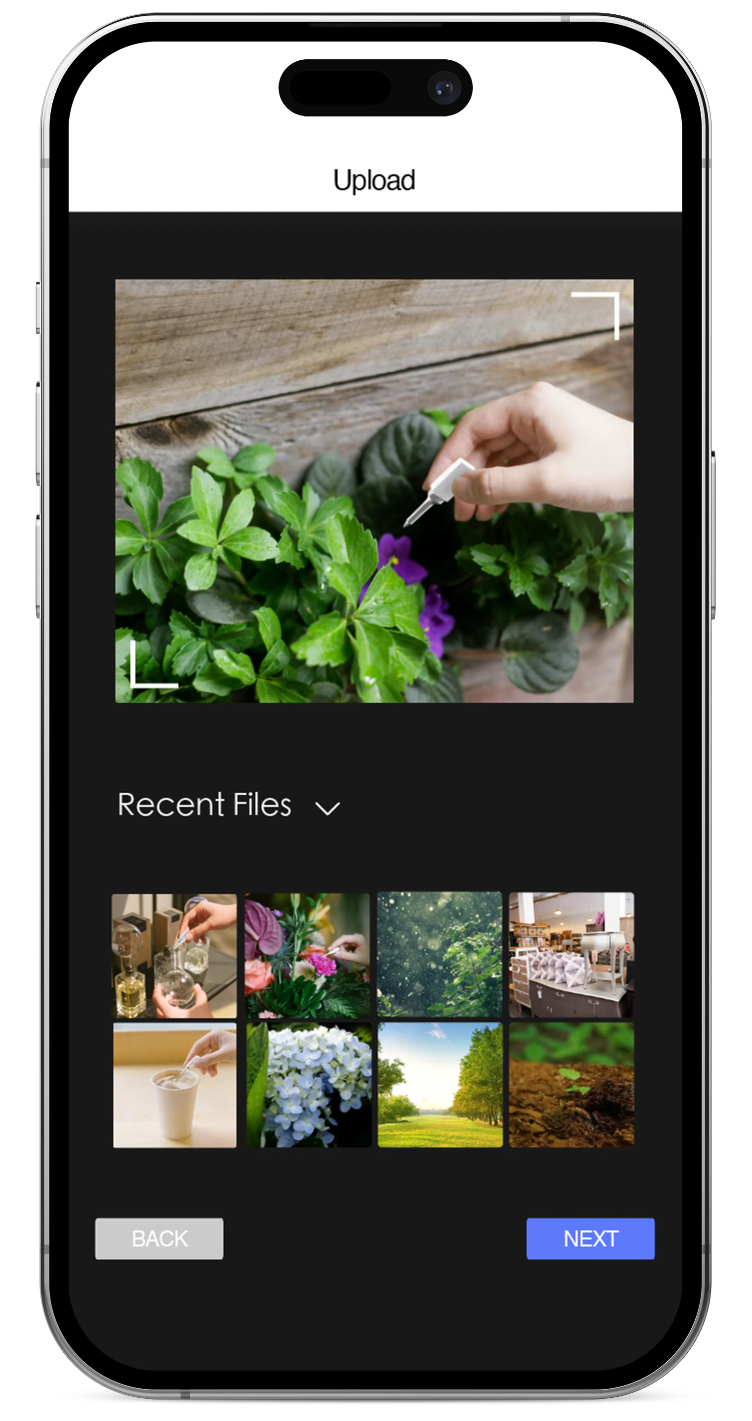 Upload screen pairing a captured scent with an image